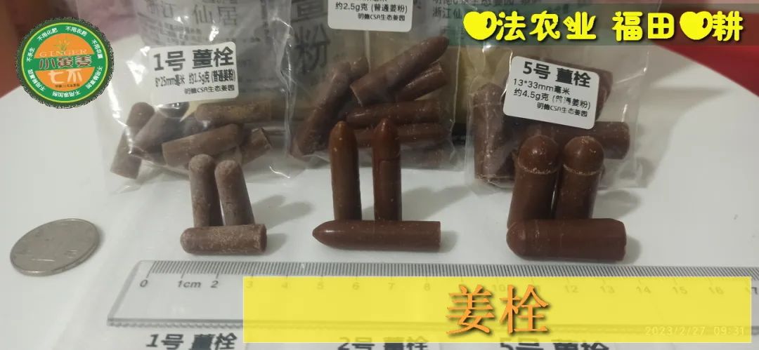 姜灌肠姜栓10粒 原始点热源（姜汤姜粉泥灌肠的补充）热源直达患处体伤 七不姜粉+栓剂基质辅料及生姜养生 姜的应用视频集