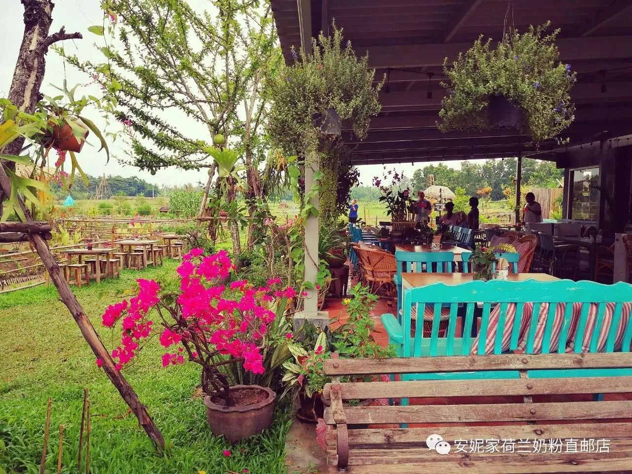 【清迈】GINGER FARM里的泰国农家乐,可以举办生日趴体,10月份假期日托班信息在贴底 【清迈】GINGER FARM里的泰国农家乐,可以举办生日趴体,10月份假期日托班信息在贴底