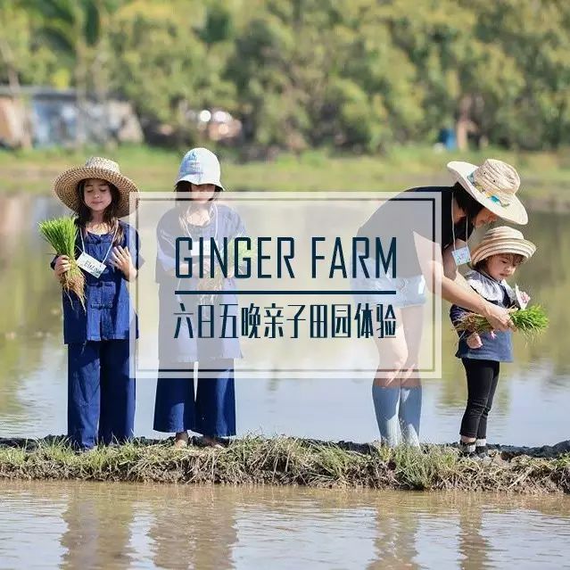 清迈 | 这家开业不久的亲子农庄,太让人动心。 清迈 | 这家开业不久的亲子农庄,太让人动心。