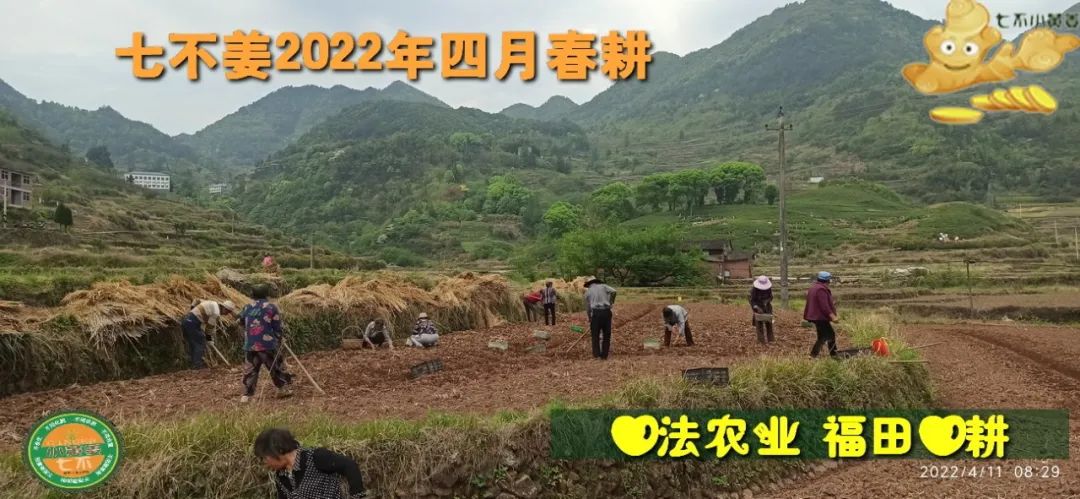 七不姜2022年四月春耕图 七不姜2022年四月春耕图