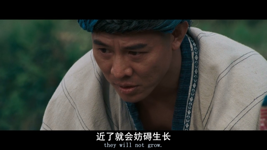 七不红米水稻9月11日上市现货销售-新米限时特惠 家庭大米专场:红米/糯米/ 黑米/泰两优217/中浙优H7 品种多质量优 七不红米水稻9月11日上市现货销售-新米限时特惠 家庭大米专场:红米/糯米/ 黑米/泰两优217/中浙优H7 品种多质量优