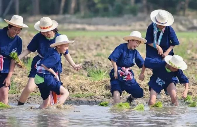 泰国Ginger Farm,30亩土地的亲子农场天天客流爆满! 泰国Ginger Farm,30亩土地的亲子农场天天客流爆满!