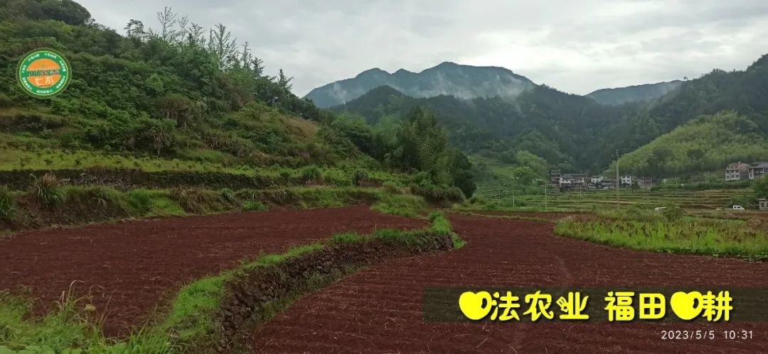 2023年4月-5月 七不姜春播图!家庭厨房生姜如何去皮切片 七不姜5月促销优惠劵 2023年4月-5月 七不姜春播图!家庭厨房生姜如何去皮切片 七不姜5月促销优惠劵