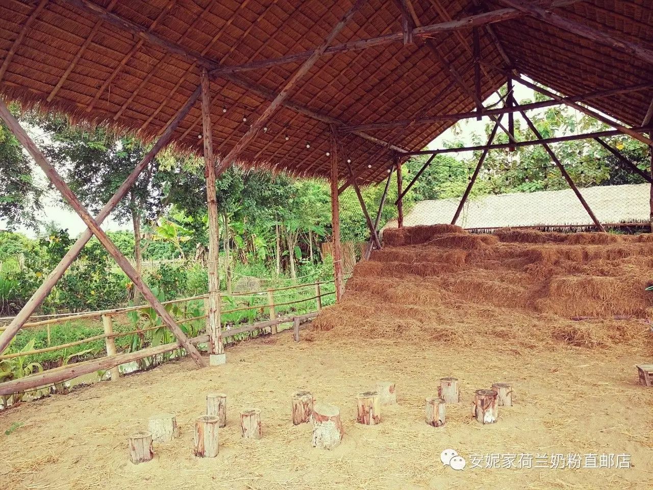 【清迈】GINGER FARM里的泰国农家乐,可以举办生日趴体,10月份假期日托班信息在贴底 【清迈】GINGER FARM里的泰国农家乐,可以举办生日趴体,10月份假期日托班信息在贴底