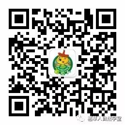 探访清迈Ginger Farm(2018.7.7) 探访清迈Ginger Farm(2018.7.7)