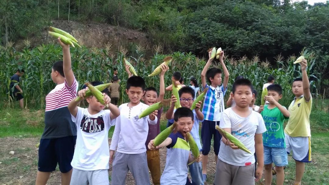 2023年厦门明道国学堂暑期少儿“耕读结合”特色国学夏令营 招生简章 2023年厦门明道国学堂暑期少儿“耕读结合”特色国学夏令营 招生简章