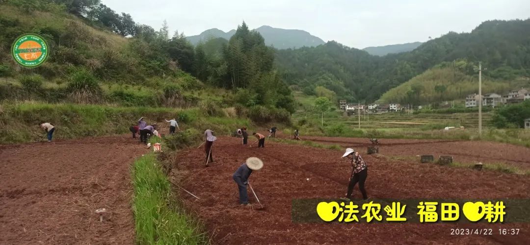 2023年4月-5月 七不姜春播图!家庭厨房生姜如何去皮切片 七不姜5月促销优惠劵 2023年4月-5月 七不姜春播图!家庭厨房生姜如何去皮切片 七不姜5月促销优惠劵