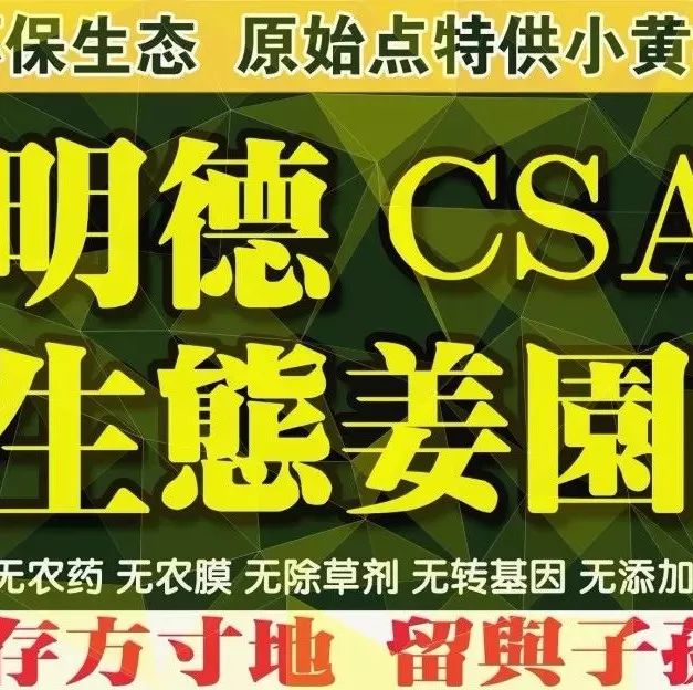 七不红米水稻9月11日上市现货销售-新米限时特惠 家庭大米专场:红米/糯米/ 黑米/泰两优217/中浙优H7 品种多质量优 七不红米水稻9月11日上市现货销售-新米限时特惠 家庭大米专场:红米/糯米/ 黑米/泰两优217/中浙优H7 品种多质量优