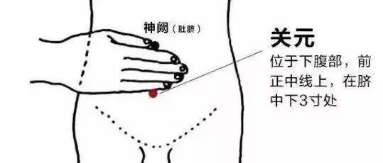 秋后培补元气，这个穴位是大补！-七不姜 生姜养生网-明德CSA生态姜园&明安农业