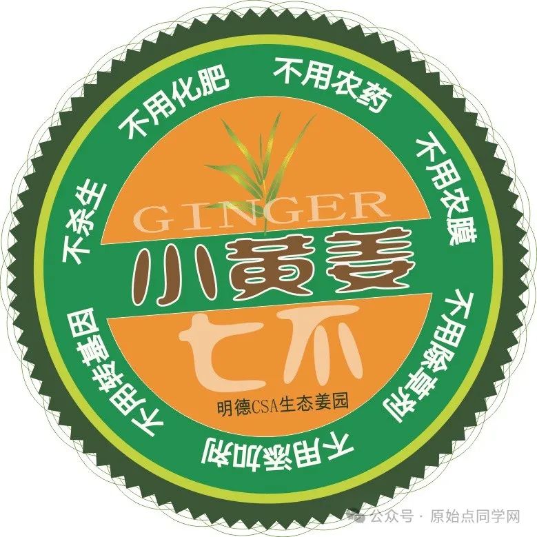 (广告)双12特惠促销 庆祝七不姜秋收完成 (广告)双12特惠促销 庆祝七不姜秋收完成