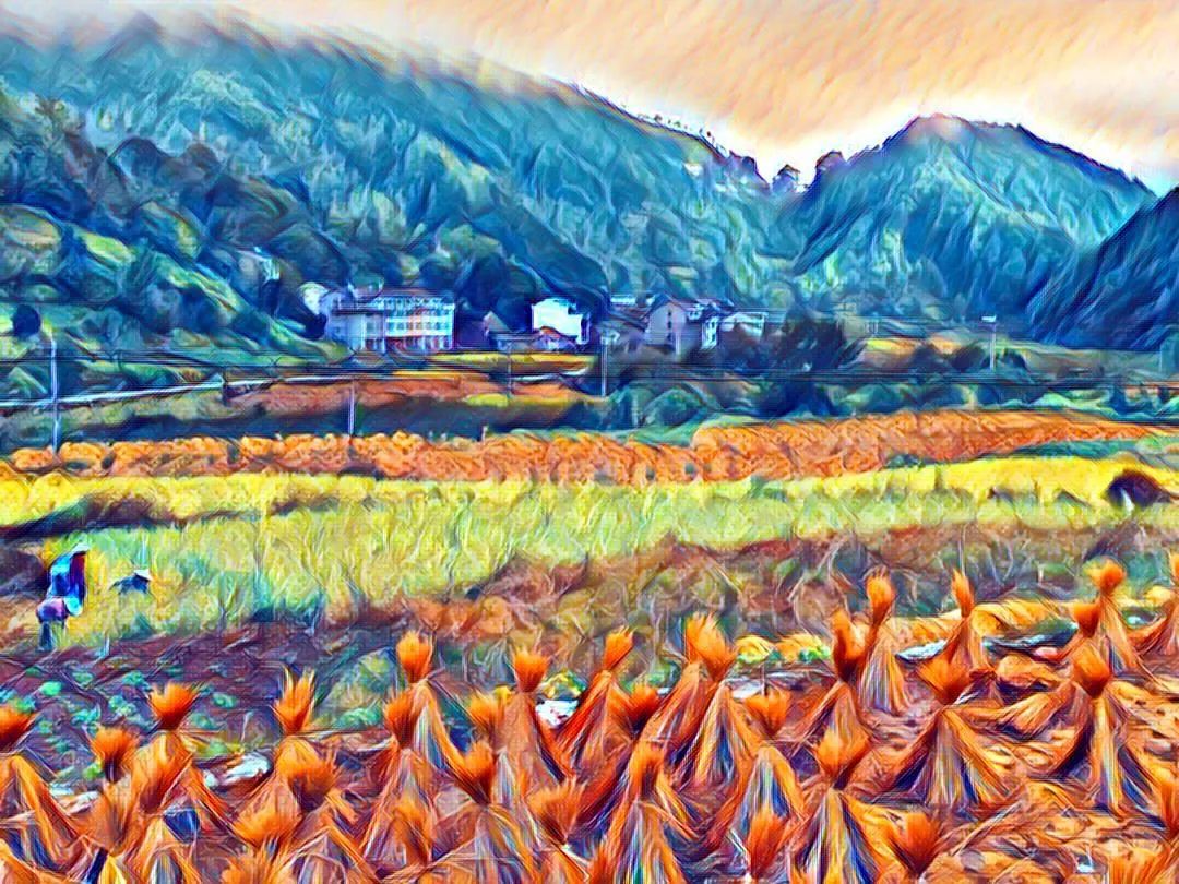 *╭︎( ˙º˙)╯︎*七不水稻秋收 明安农业田园油画展!我们是不是该知足 珍惜一切 就算没有拥有.... *╭︎( ˙º˙)╯︎*七不水稻秋收 明安农业田园油画展!我们是不是该知足 珍惜一切 就算没有拥有....