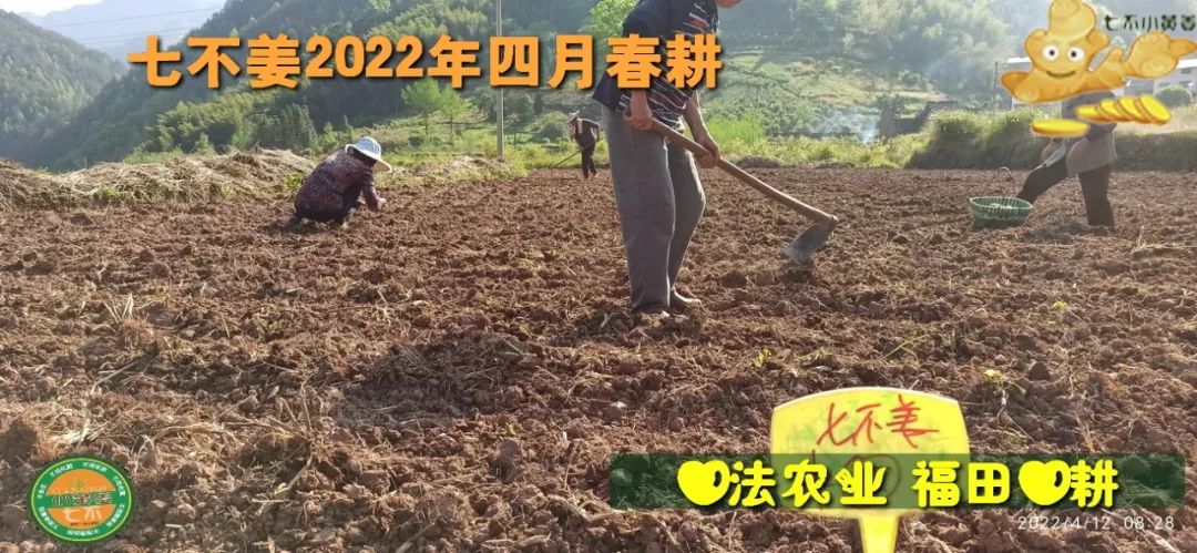 七不姜2022年四月春耕图 七不姜2022年四月春耕图