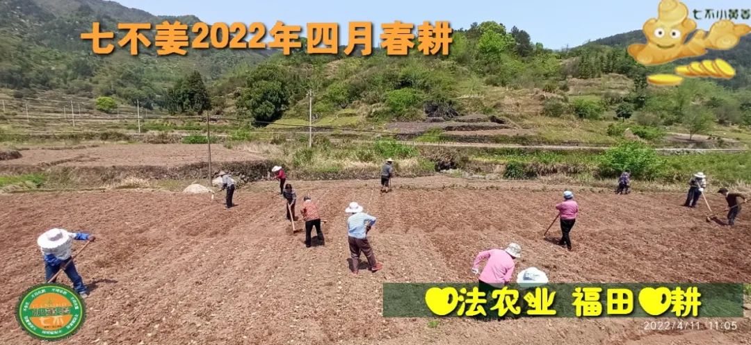 七不姜2022年四月春耕图 七不姜2022年四月春耕图