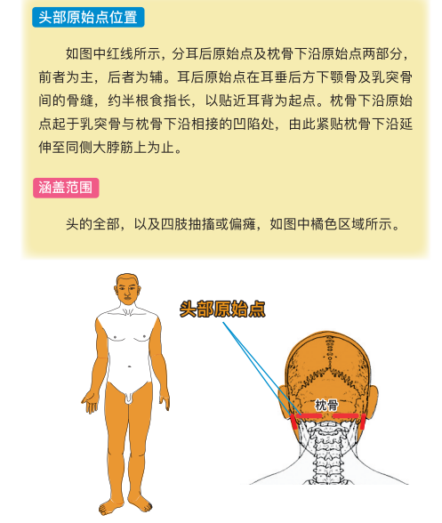 原始点 感冒发烧 重病处理 理论与操作2022.12 姜的应用 原始点 感冒发烧 重病处理 理论与操作2022.12 姜的应用