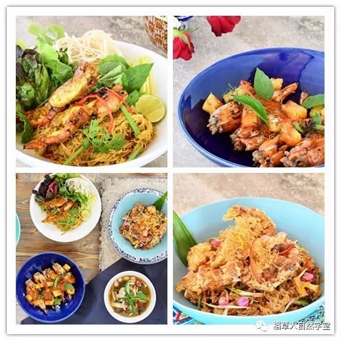 探访清迈Ginger Farm(2018.7.7) 探访清迈Ginger Farm(2018.7.7)