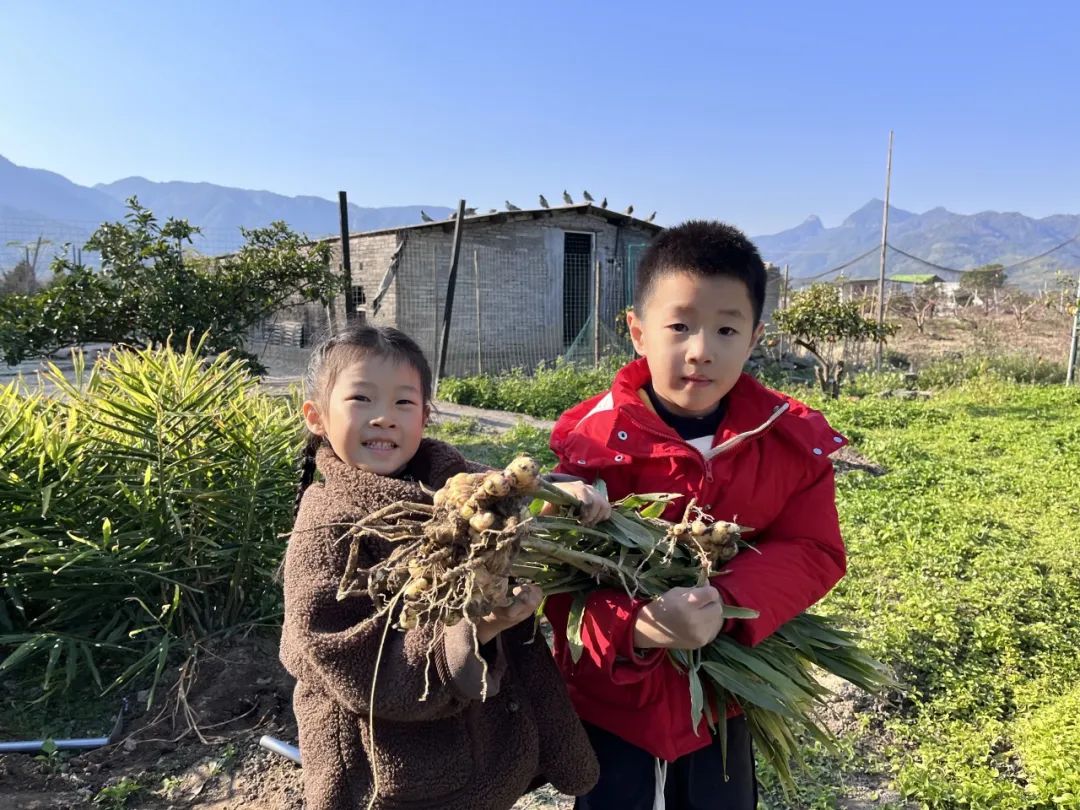 嗨，一起来“姜”快乐进行到底！