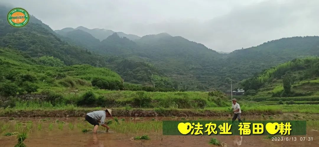 (●'◡'●)6月庆祝春播春种顺利完成! 姜膏姜油 端午糯米 会员积分换购特惠 ,2023预售大米 会员折上折 6.18折 (●'◡'●)6月庆祝春播春种顺利完成! 姜膏姜油 端午糯米 会员积分换购特惠 ,2023预售大米 会员折上折 6.18折