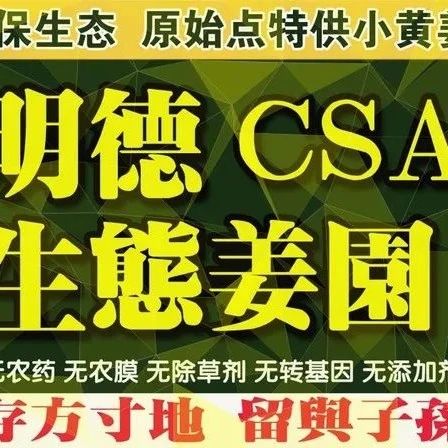 亲，看看您有多少姜积分？ 积分换七不米换土特产换精品礼品了。STAMPS时装表 派克笔 韩国777指甲剪。-七不姜 生姜养生网-明德CSA生态姜园&明安农业