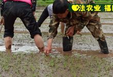 宫颈癌前病变案例 周红艳48岁 2020年5月开始每天喷两次姜粉,四个月后检查正常!-七不姜 生姜养生网-明德CSA生态姜园&明安农业