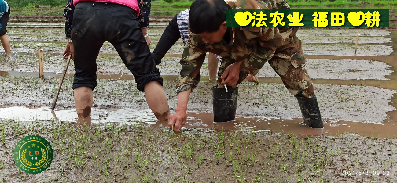 宫颈癌前病变案例 周红艳48岁 2020年5月开始每天喷两次姜粉,四个月后检查正常！-七不姜 生姜养生网-明德CSA生态姜园&明安农业