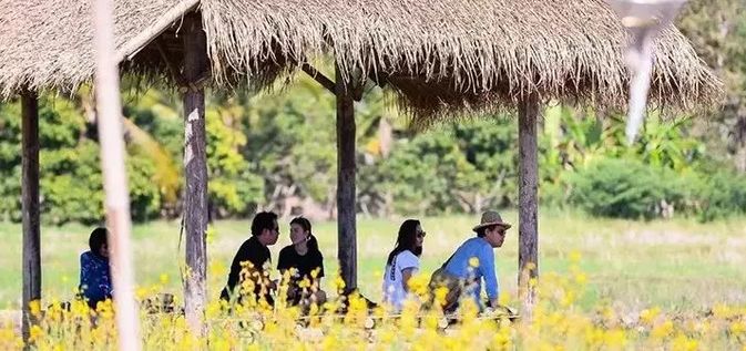 泰国Ginger Farm,30亩土地的亲子农场天天客流爆满! 泰国Ginger Farm,30亩土地的亲子农场天天客流爆满!