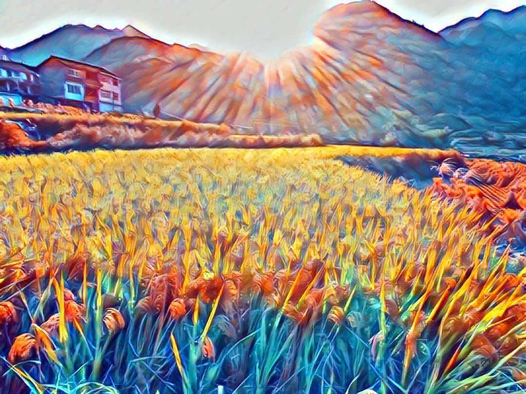 *╭︎( ˙º˙)╯︎*七不水稻秋收 明安农业田园油画展!我们是不是该知足 珍惜一切 就算没有拥有.... *╭︎( ˙º˙)╯︎*七不水稻秋收 明安农业田园油画展!我们是不是该知足 珍惜一切 就算没有拥有....