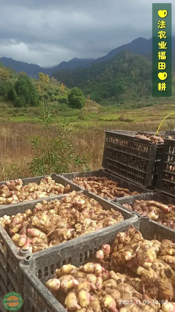 2024年1月新年快乐!元旦快乐!优惠“卷”送给您收下。 2024年1月新年快乐!元旦快乐!优惠“卷”送给您收下。