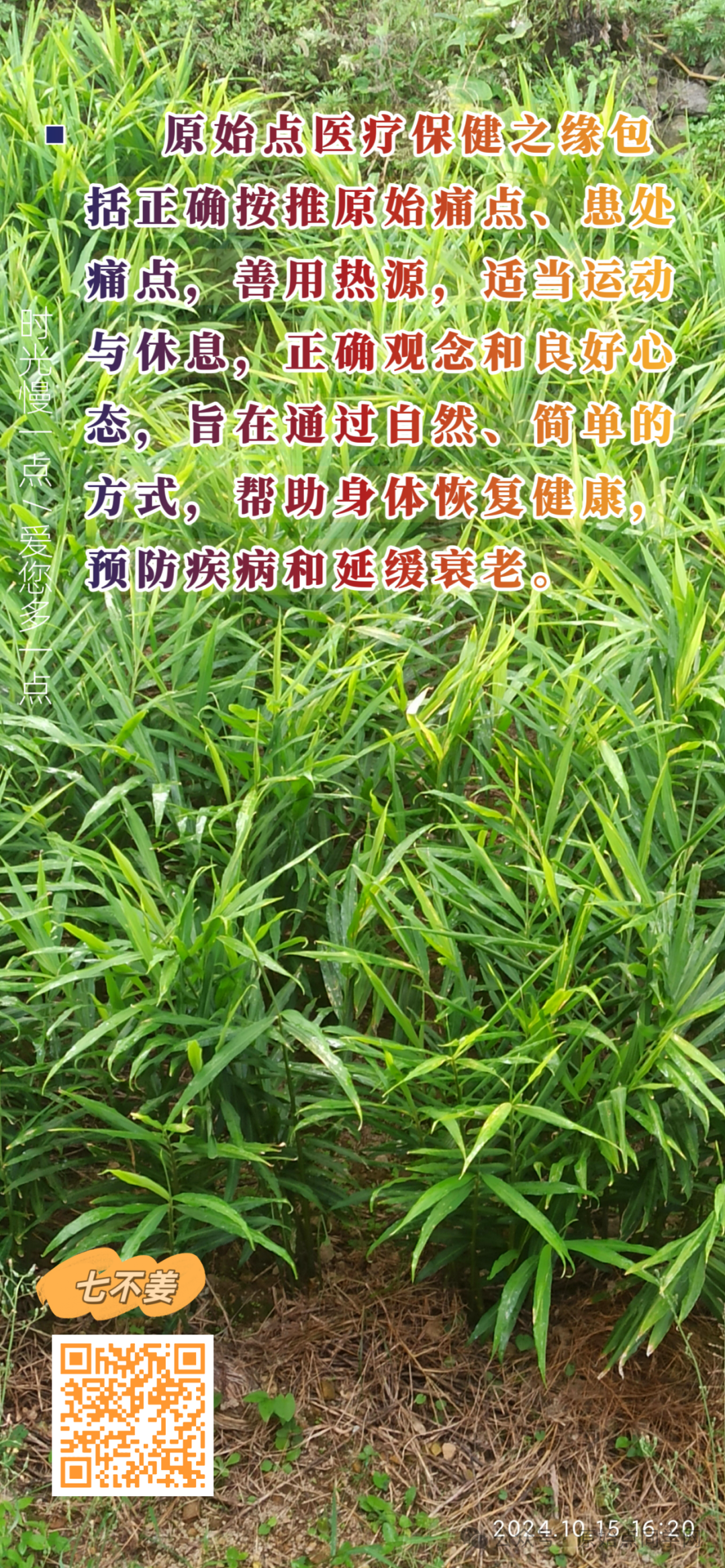 (广告)双11 除了七不姜,今天什么姜都别买！