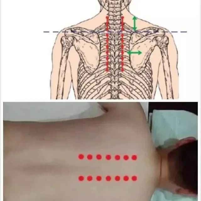 最好的急救方法赶紧学起来吧-七不姜 生姜养生网-明德CSA生态姜园&明安农业