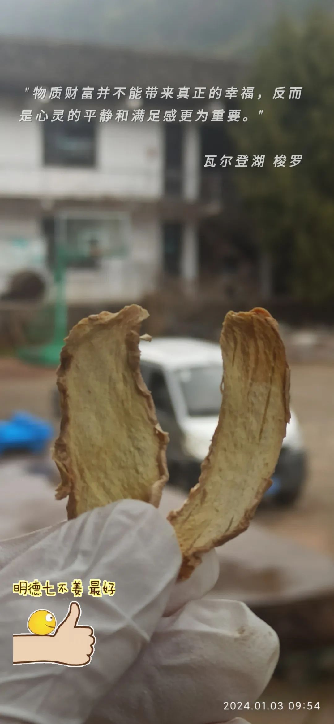 2024年新春福袋 七不姜全家福 礼装 龙重登场´◡` ꒰^ↀωↀ^꒱ 2024年新春福袋 七不姜全家福 礼装 龙重登场´◡` ꒰^ↀωↀ^꒱