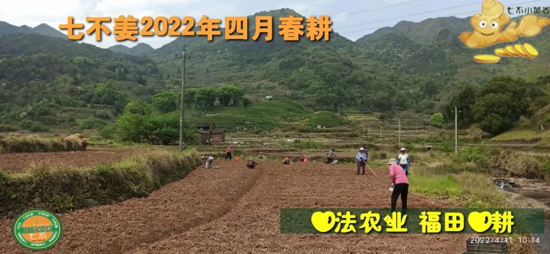 七不姜2022年四月春耕图 七不姜2022年四月春耕图