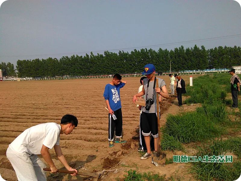 姜园乡土夏日忙 只为金秋好丰收!(●'◡'●)5月春耕春播 2023年七不姜预售预定 姜园乡土夏日忙 只为金秋好丰收!(●'◡'●)5月春耕春播 2023年七不姜预售预定