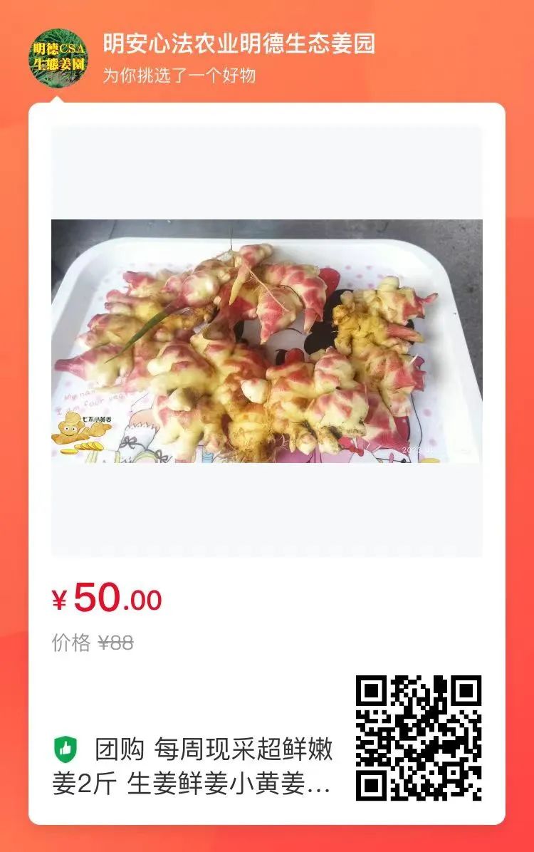 周末特惠限时 姜膏 姜油 姜茶油 及介绍 2023年9月