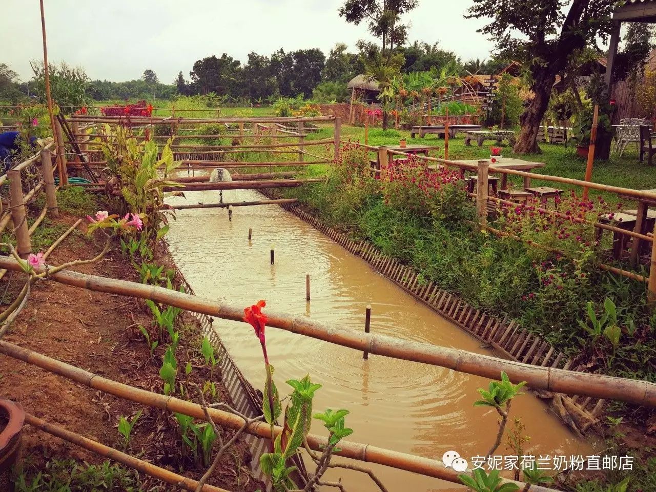 【清迈】GINGER FARM里的泰国农家乐,可以举办生日趴体,10月份假期日托班信息在贴底 【清迈】GINGER FARM里的泰国农家乐,可以举办生日趴体,10月份假期日托班信息在贴底