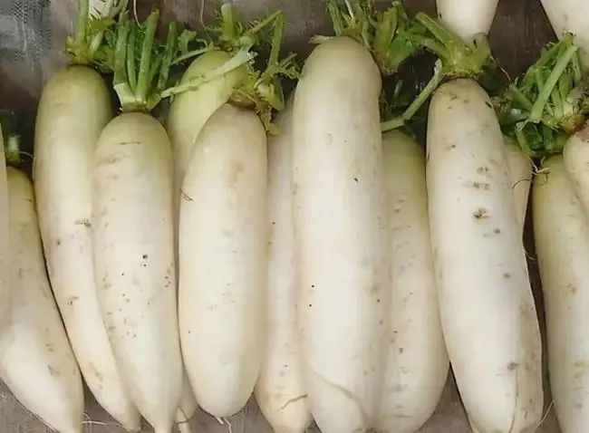 淡竹VS溪港 | 仙居农产品自产自销集市本周六预告来袭! 淡竹VS溪港 | 仙居农产品自产自销集市本周六预告来袭!