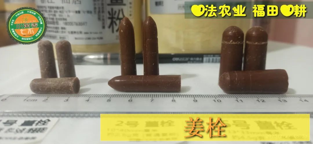 姜灌肠姜栓10粒 原始点热源（姜汤姜粉泥灌肠的补充）热源直达患处体伤 七不姜粉+栓剂基质辅料及生姜养生 姜的应用视频集