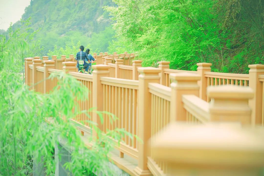 仙居仙景 | 想你的风还是吹到了仙居,“尔滨”老铁们!看仙居给咱整点啥→ 仙居仙景 | 想你的风还是吹到了仙居,“尔滨”老铁们!看仙居给咱整点啥→