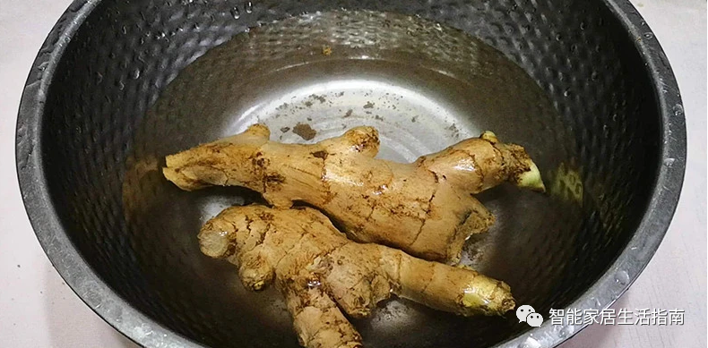 保存生姜不用放冰箱！教你诀窍，生姜不干瘪不发芽，放一年都新鲜