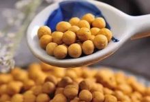 孩子喝姜汤怕辣?有机姜丸——给你纯纯的爱!-七不姜 生姜养生网-明德CSA生态姜园&明安农业