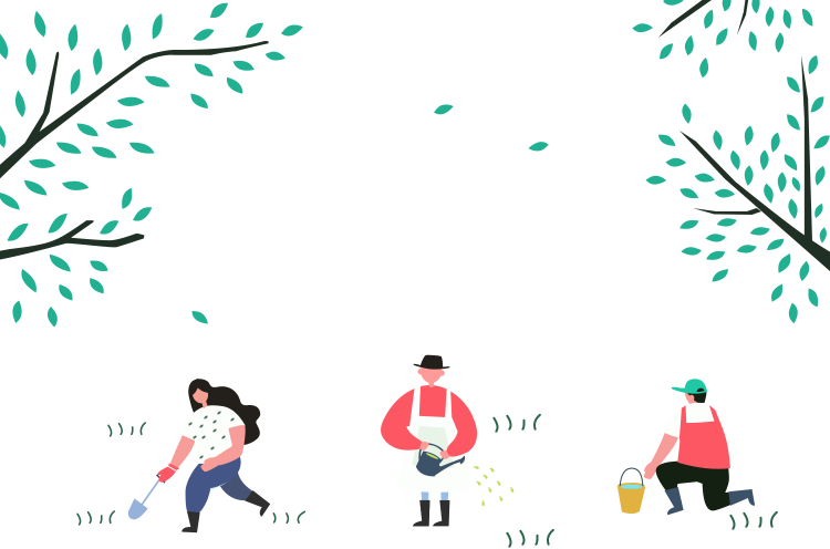 撸起袖子种姜了!家庭农场 盆栽种姜 撸起袖子种姜了!家庭农场 盆栽种姜