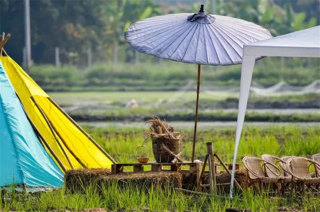 清迈 | 这家开业不久的亲子农庄,太让人动心。 清迈 | 这家开业不久的亲子农庄,太让人动心。