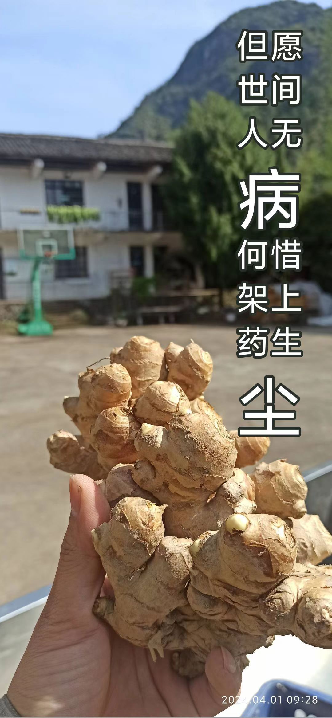 2024年4月春暖花开！春耕优惠“卷”