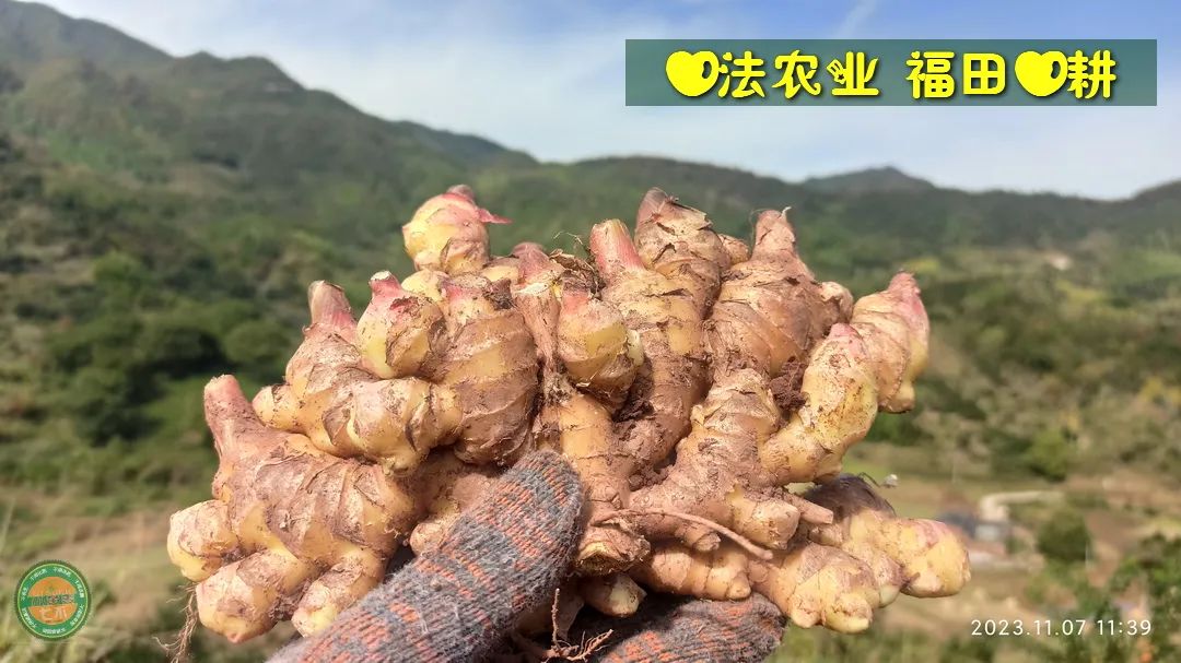2024年4月春暖花开！春耕优惠“卷”