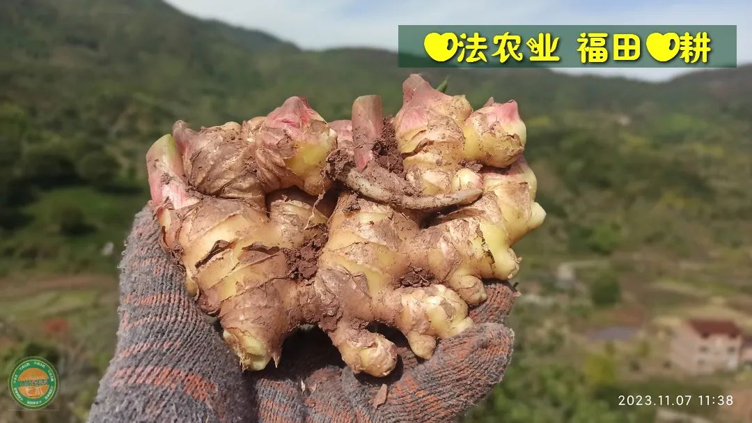 2024年4月春暖花开！春耕优惠“卷”