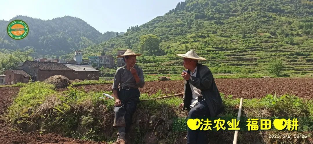 2023年4月-5月 七不姜春播图!家庭厨房生姜如何去皮切片 七不姜5月促销优惠劵 2023年4月-5月 七不姜春播图!家庭厨房生姜如何去皮切片 七不姜5月促销优惠劵