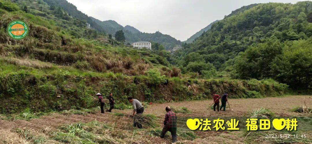 2023年4月-5月 七不姜春播图!家庭厨房生姜如何去皮切片 七不姜5月促销优惠劵 2023年4月-5月 七不姜春播图!家庭厨房生姜如何去皮切片 七不姜5月促销优惠劵