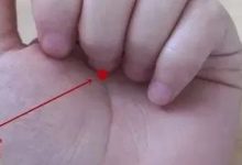 失眠搓脚,早醒揉手,多少失眠都是这么搓好的!-七不姜 生姜养生网-明德CSA生态姜园&明安农业