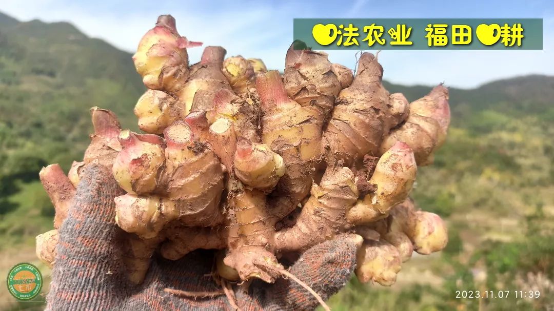 2024年4月春暖花开！春耕优惠“卷”