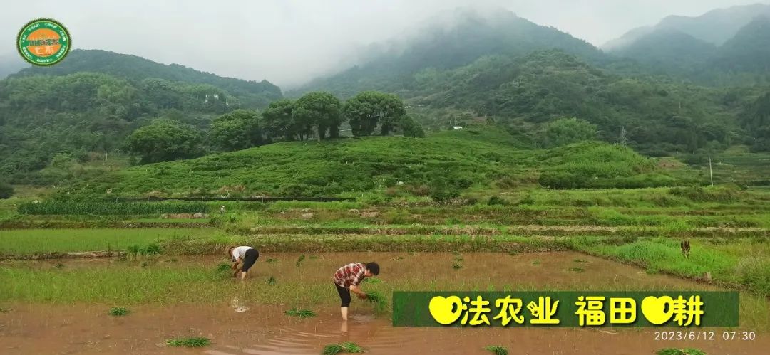 (●'◡'●)6月庆祝春播春种顺利完成! 姜膏姜油 端午糯米 会员积分换购特惠 ,2023预售大米 会员折上折 6.18折 (●'◡'●)6月庆祝春播春种顺利完成! 姜膏姜油 端午糯米 会员积分换购特惠 ,2023预售大米 会员折上折 6.18折