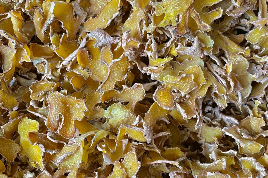 寻味台州｜邓紫棋都爱吃的姜汤面，究竟有什么魅力？